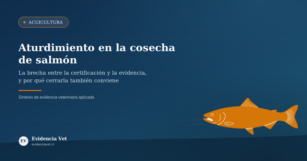 Portada de Evidencia Vet sobre aturdimiento en la cosecha de salmón, brecha entre certificación y evidencia científica