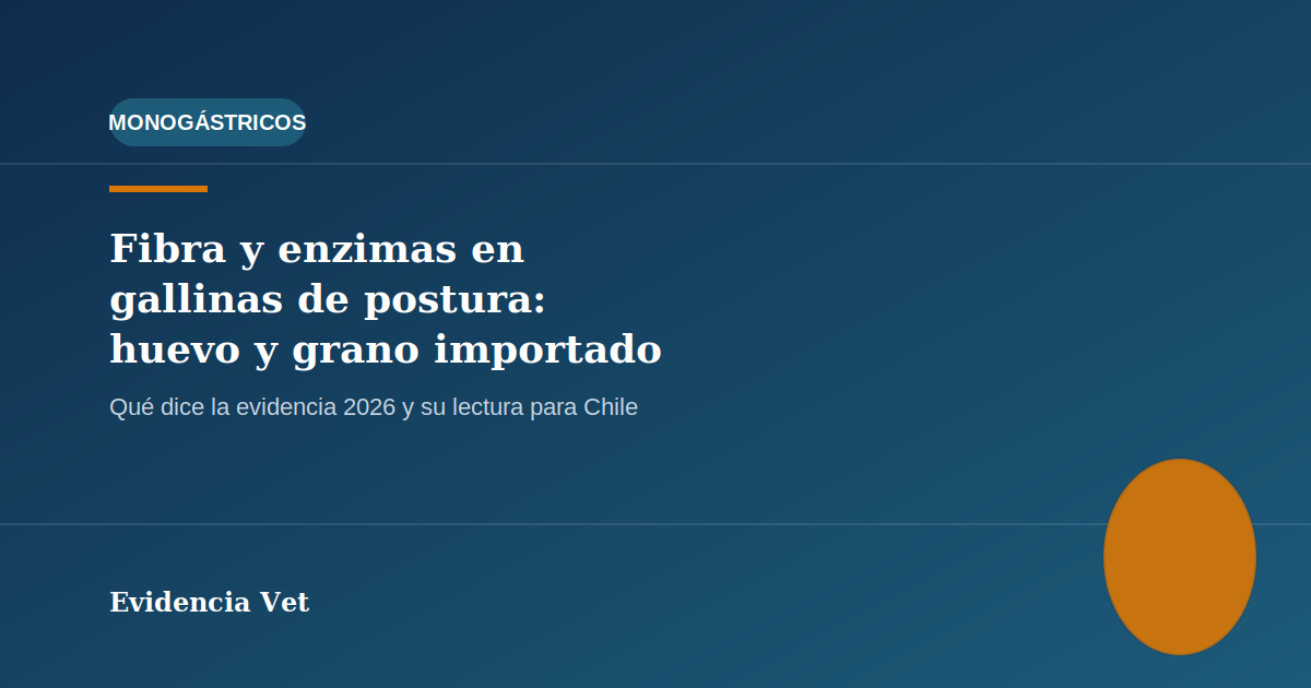 Ilustración editorial sobre fibra dietaria y salud intestinal en gallinas de postura, categoría Monogástricos