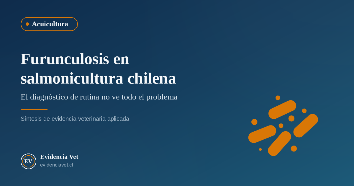 Portada de Evidencia Vet sobre furunculosis en salmonicultura chilena, diagnóstico molecular y vacunación