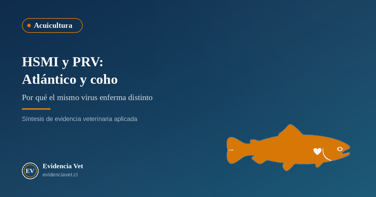 Portada de Evidencia Vet sobre HSMI y PRV en salmón del Atlántico y salmón coho en la salmonicultura chilena