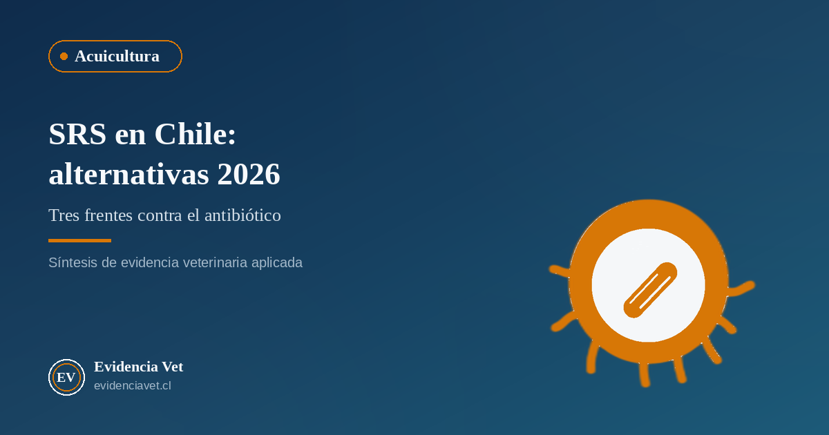 Portada de Evidencia Vet sobre investigación en piscirickettsiosis y alternativas al uso de antimicrobianos en salmonicultura chilena