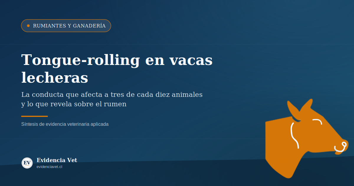Portada de Evidencia Vet sobre tongue-rolling en vacas lecheras Holstein en sistemas de estabulación libre