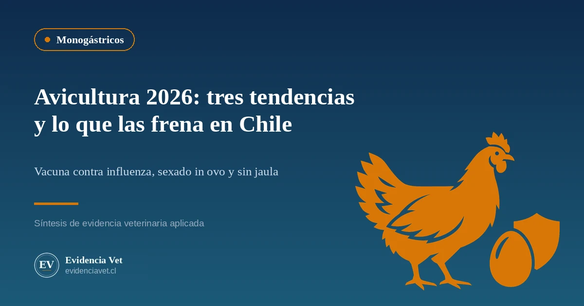 Silueta naranja de una gallina junto a un huevo con un escudo, sobre fondo azul, con el título Avicultura 2026