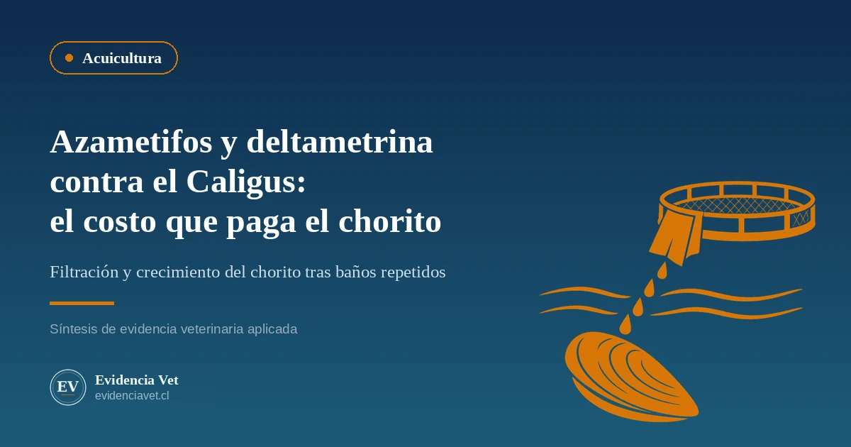 Ilustración de una jaula de cultivo de salmón que vierte gotas de antiparasitario sobre un chorito
