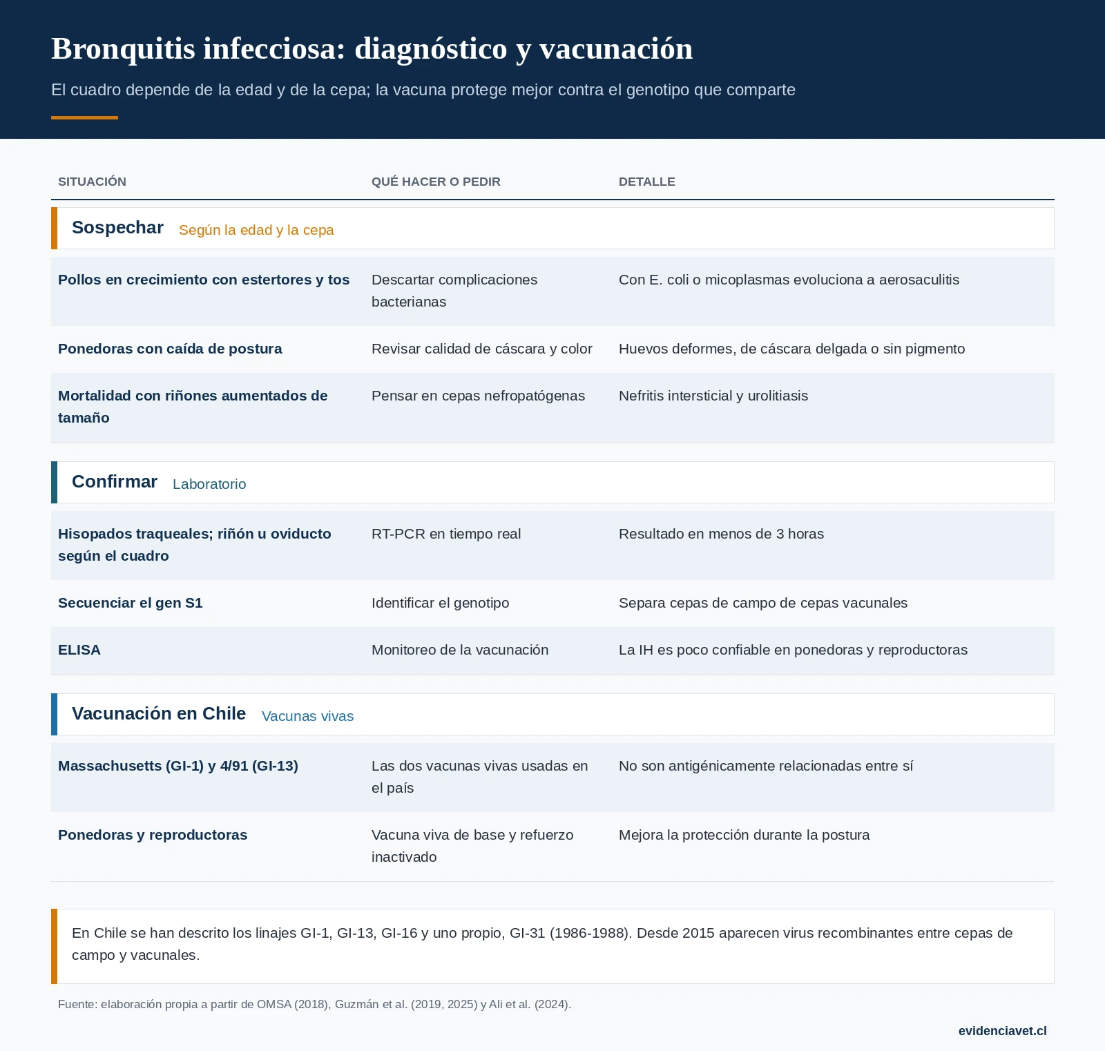 Cómo sospechar la bronquitis infecciosa según la edad y la cepa, qué pedir al laboratorio y qué vacunas se usan en Chile.