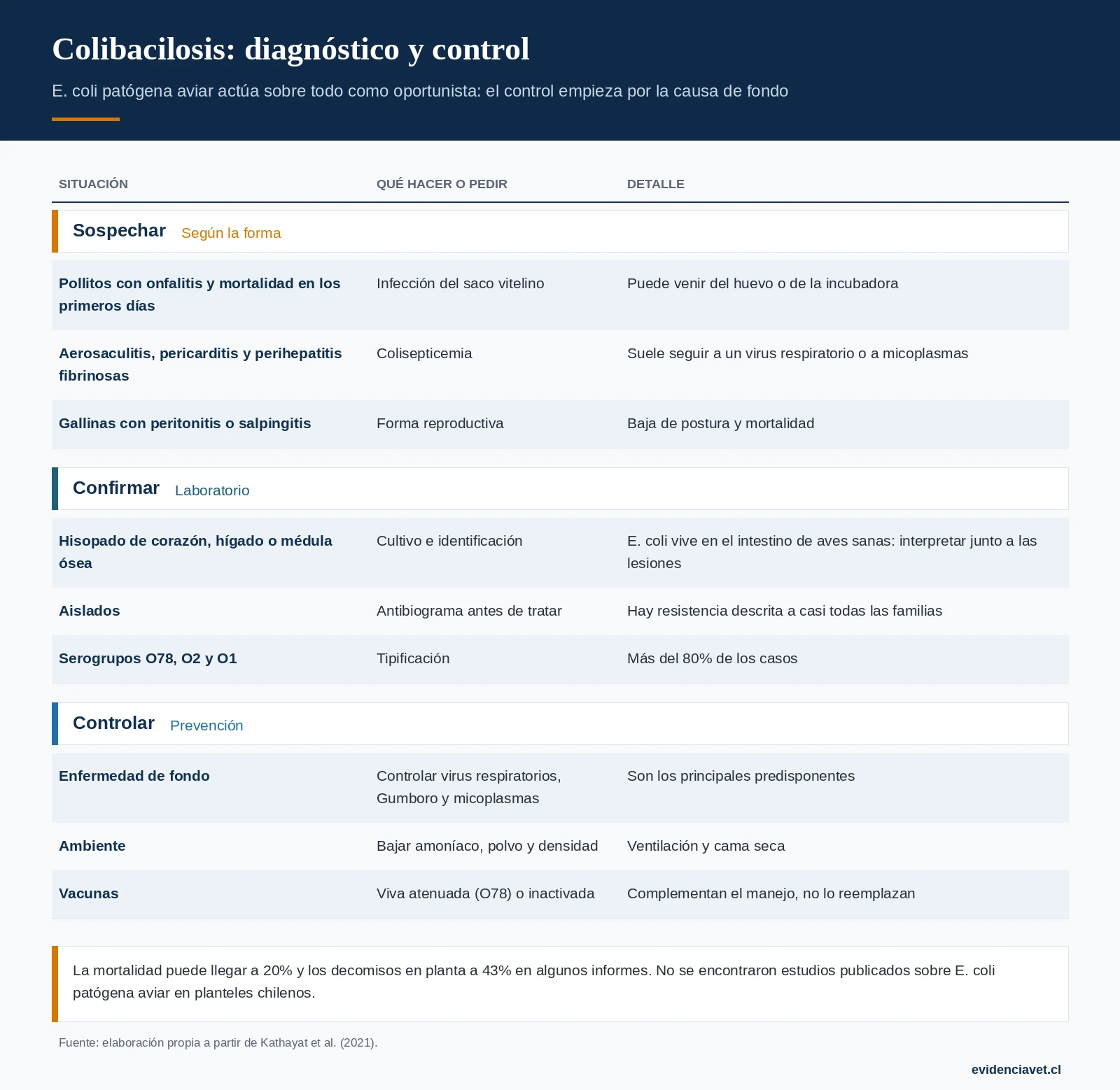 Cómo sospechar la colibacilosis según su forma, cómo se confirma y cómo se controla.
