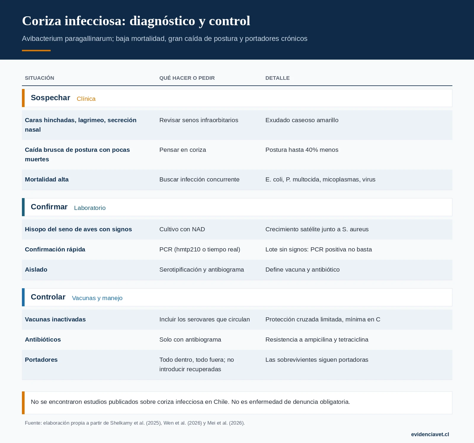Cómo sospechar la coriza infecciosa, cómo confirmarla y qué considerar en el control.