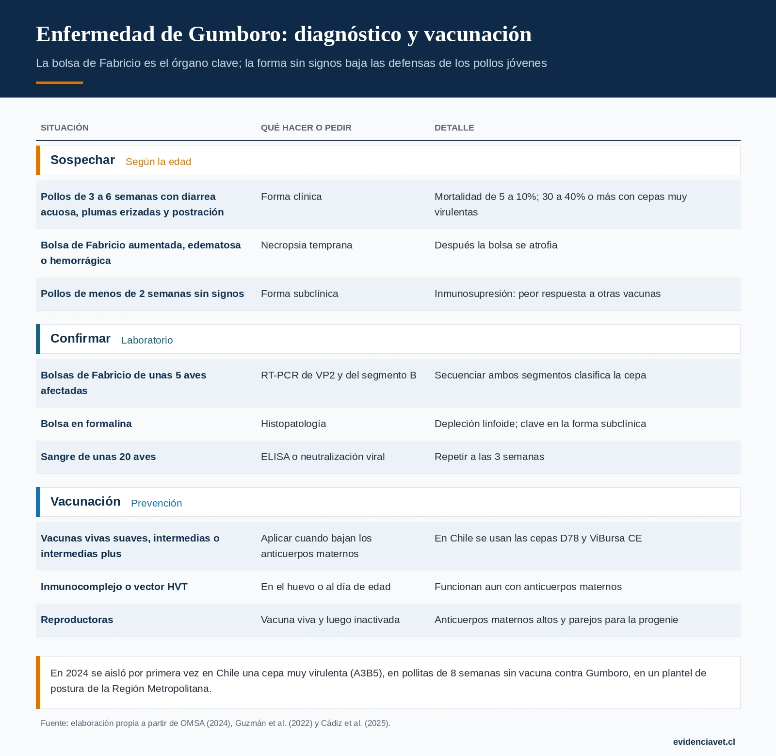 Cómo sospechar la enfermedad de Gumboro según la edad, qué muestras pedir y cómo se vacuna.