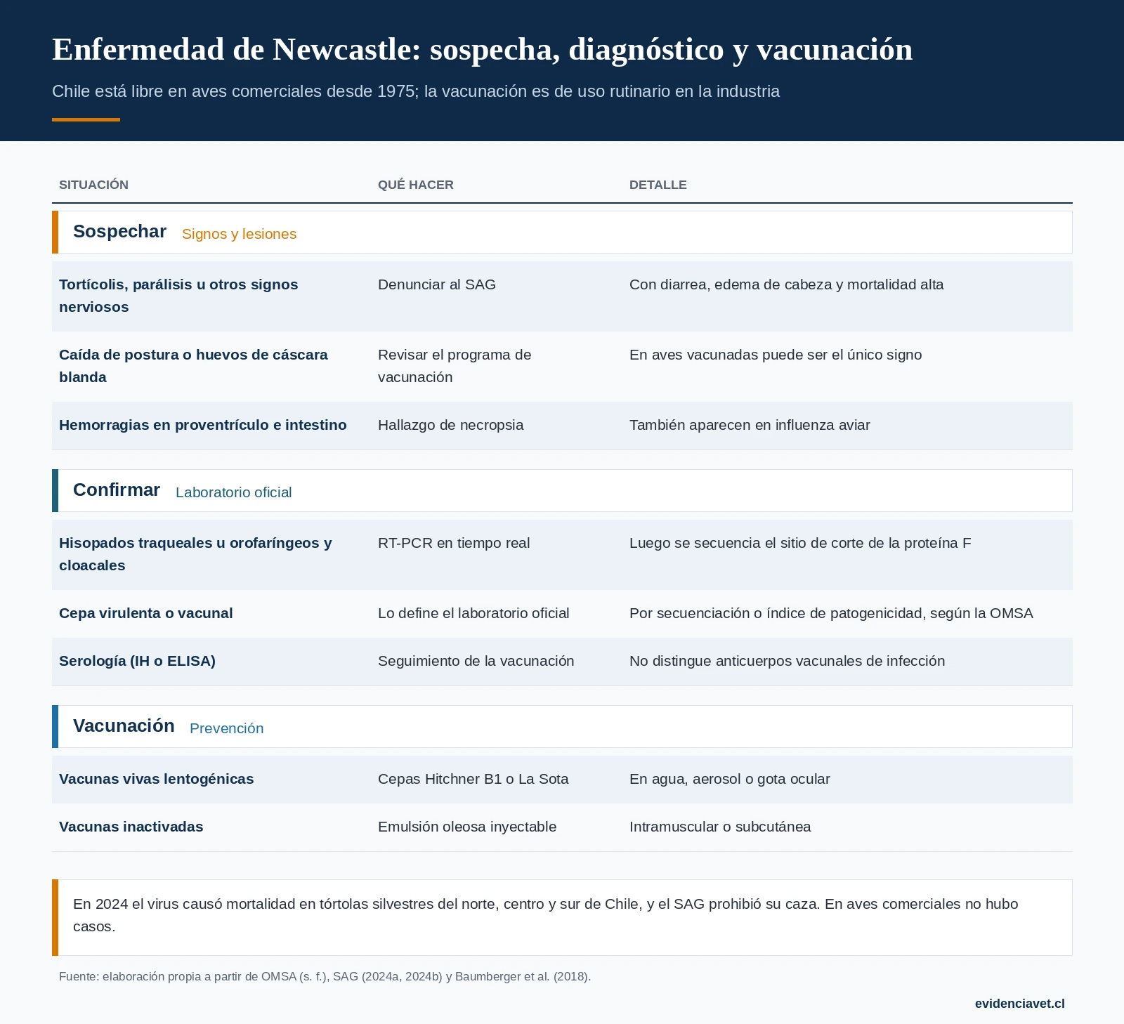 Cuándo sospechar la enfermedad de Newcastle, cómo se confirma y qué vacunas existen.