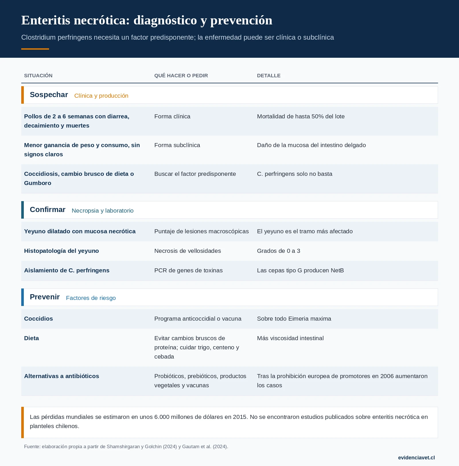Cómo sospechar la enteritis necrótica, cómo se confirma y qué factores de riesgo controlar.