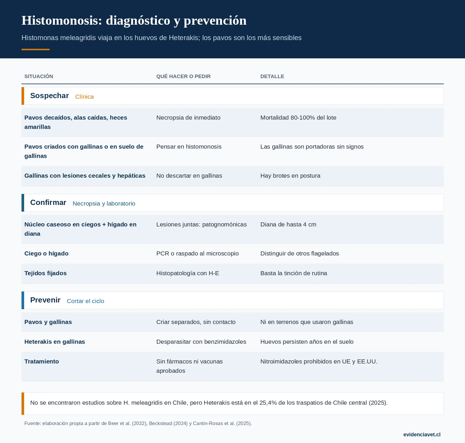 Cómo sospechar la histomonosis, cómo confirmarla y cómo cortar el ciclo con Heterakis.