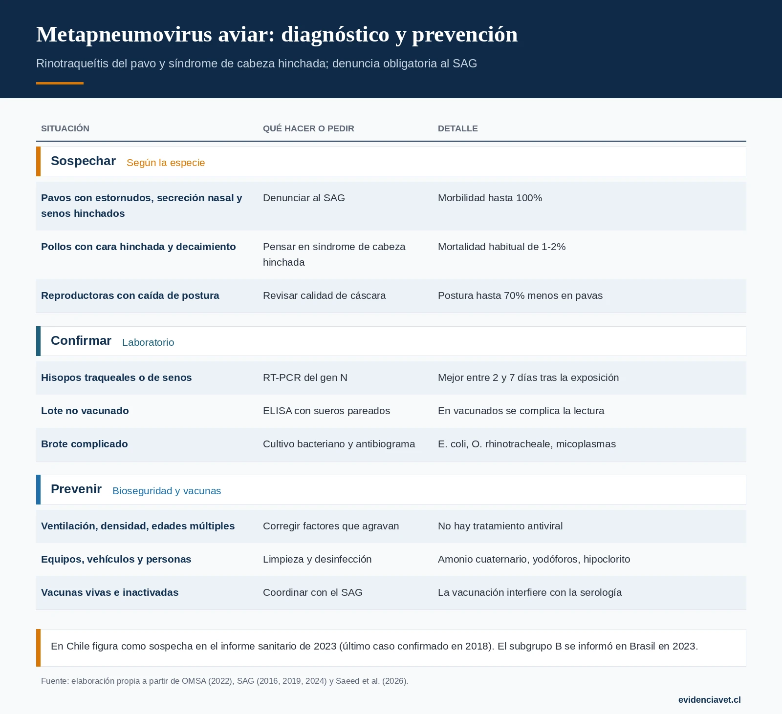 Cómo sospechar el metapneumovirus aviar en pavos y gallinas, cómo confirmarlo y cómo se previene.