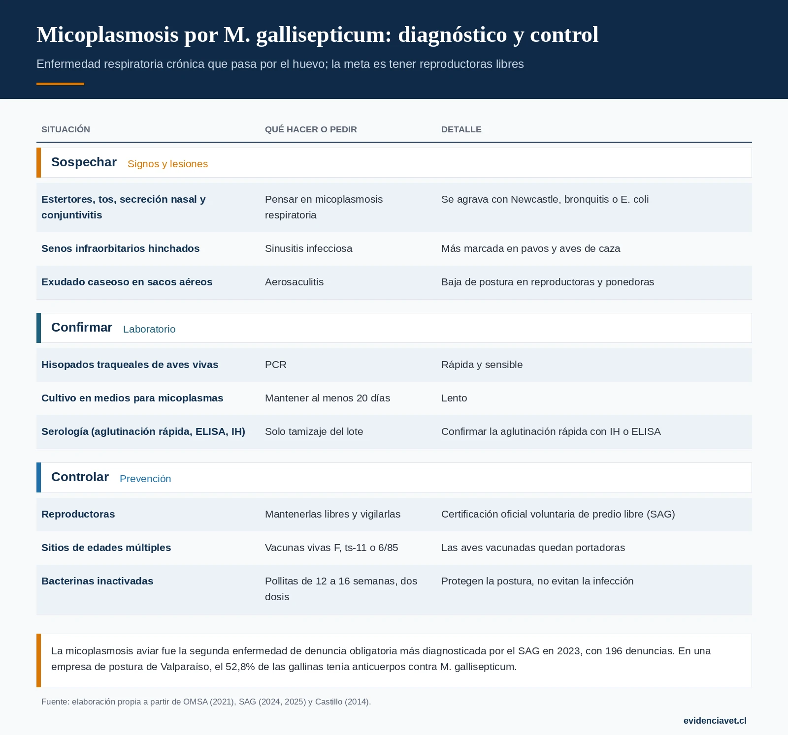 Cómo sospechar la micoplasmosis por M. gallisepticum, cómo se confirma y cómo se controla.