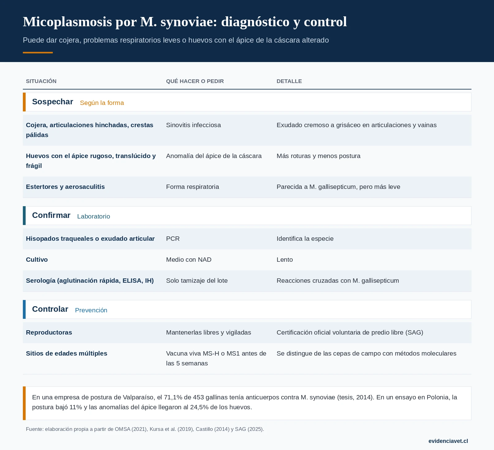Cómo sospechar la micoplasmosis por M. synoviae según su forma, cómo se confirma y cómo se controla.