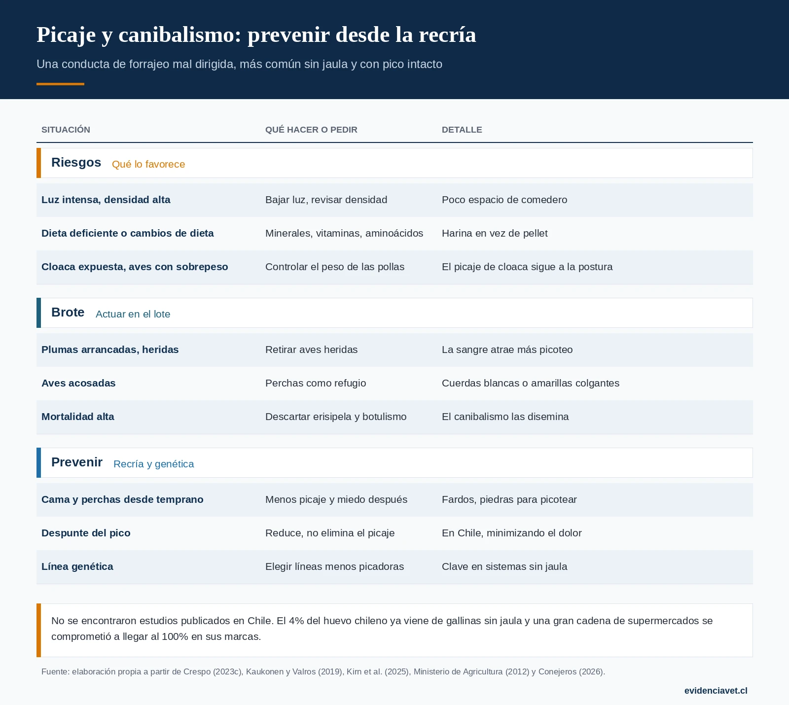 Qué favorece el picaje y el canibalismo, cómo actuar ante un brote y cómo prevenirlo desde la recría.