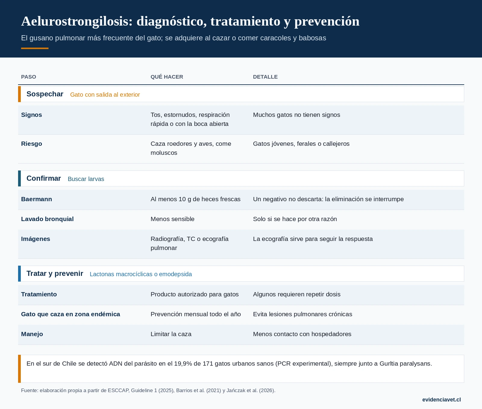 Cuándo sospechar el gusano pulmonar en un gato, cómo confirmarlo y cómo tratarlo y prevenirlo.