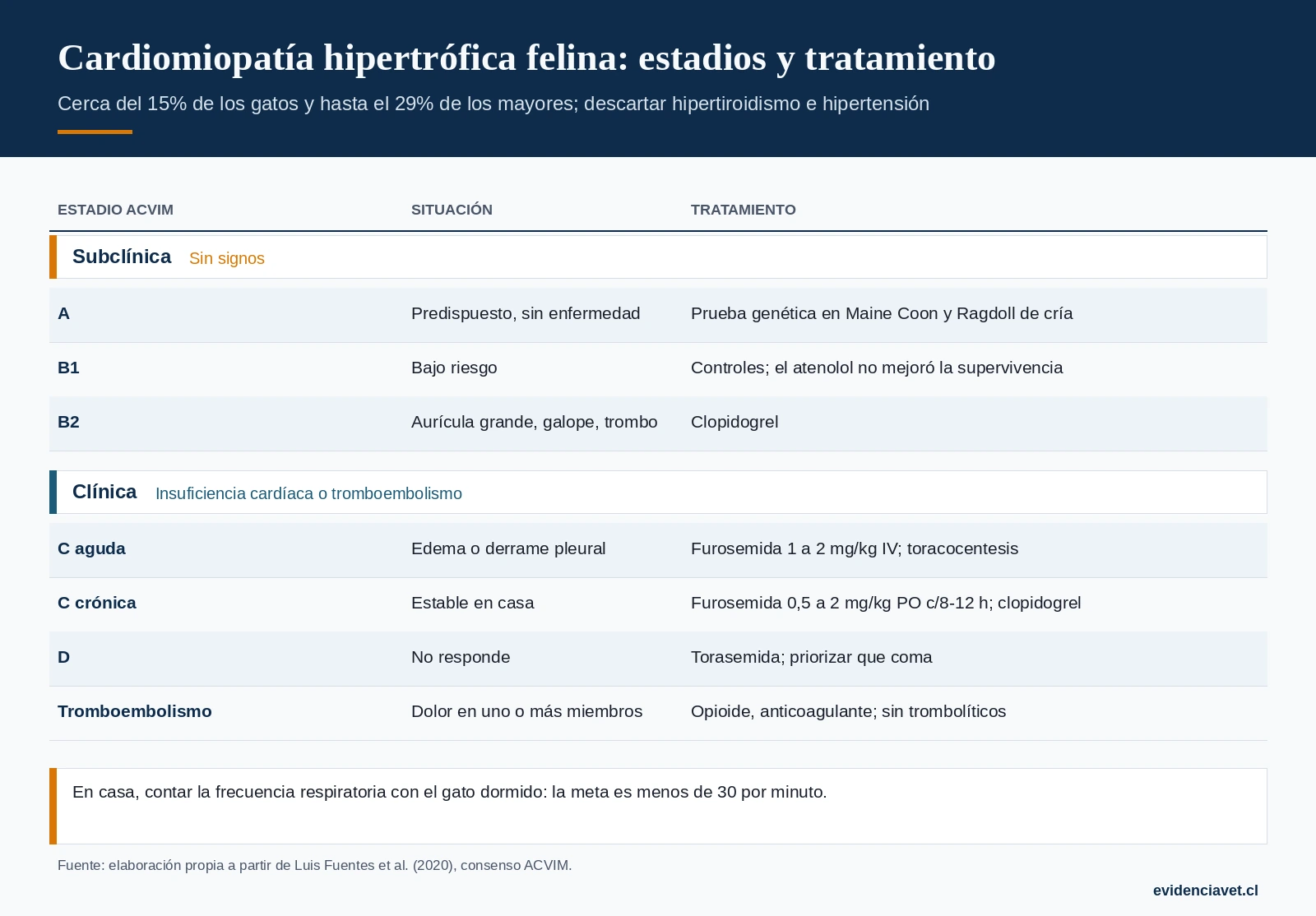 Estadios ACVIM de la cardiomiopatía felina y tratamiento recomendado en cada uno.