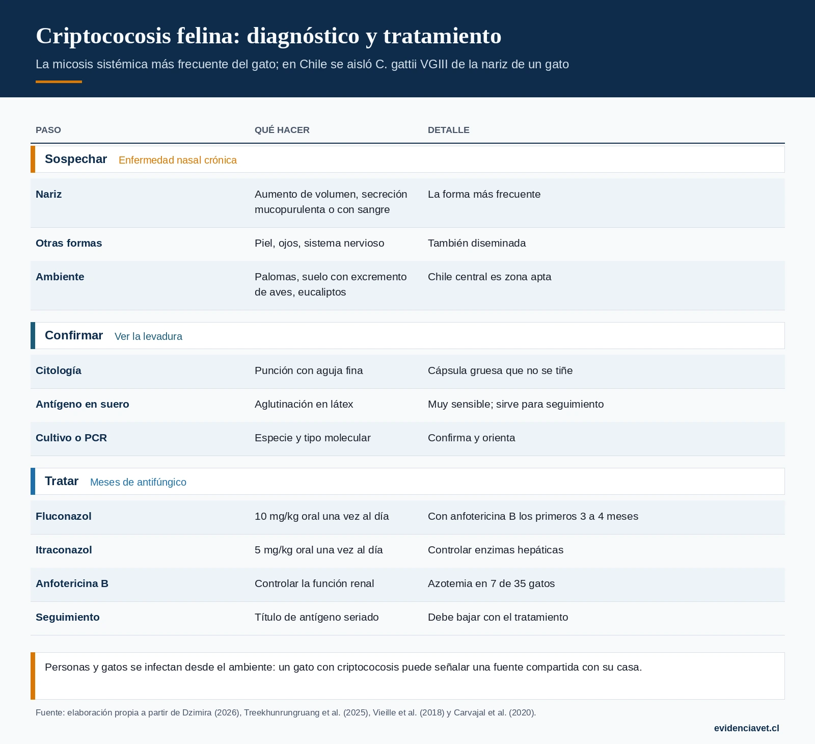 Cuándo sospechar criptococosis en un gato, cómo confirmarla y cómo tratarla y seguirla.