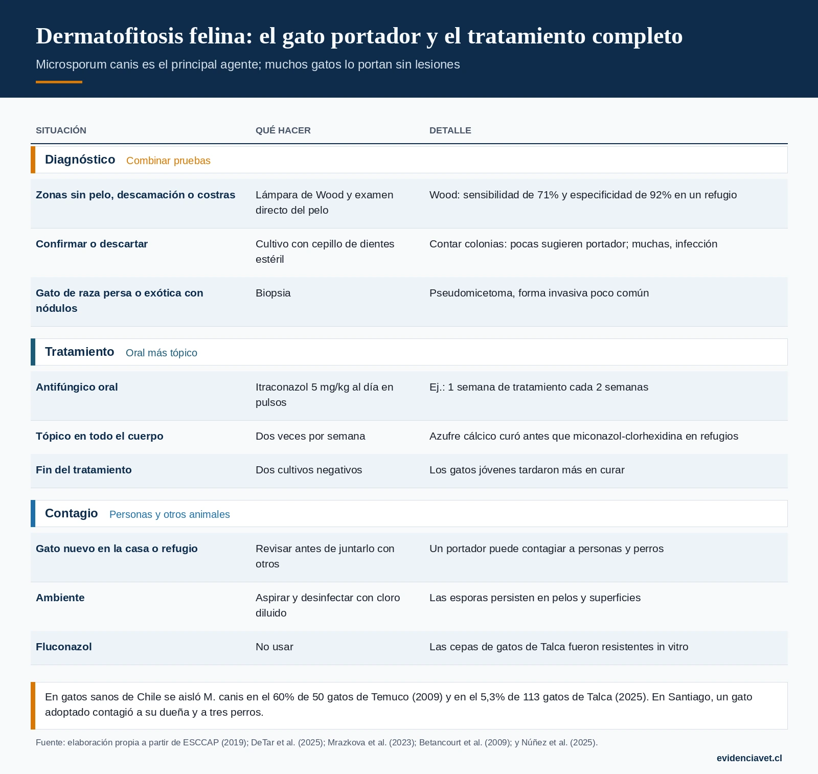 Cómo diagnosticar y tratar la dermatofitosis en gatos, y cómo evitar el contagio a personas y otros animales.