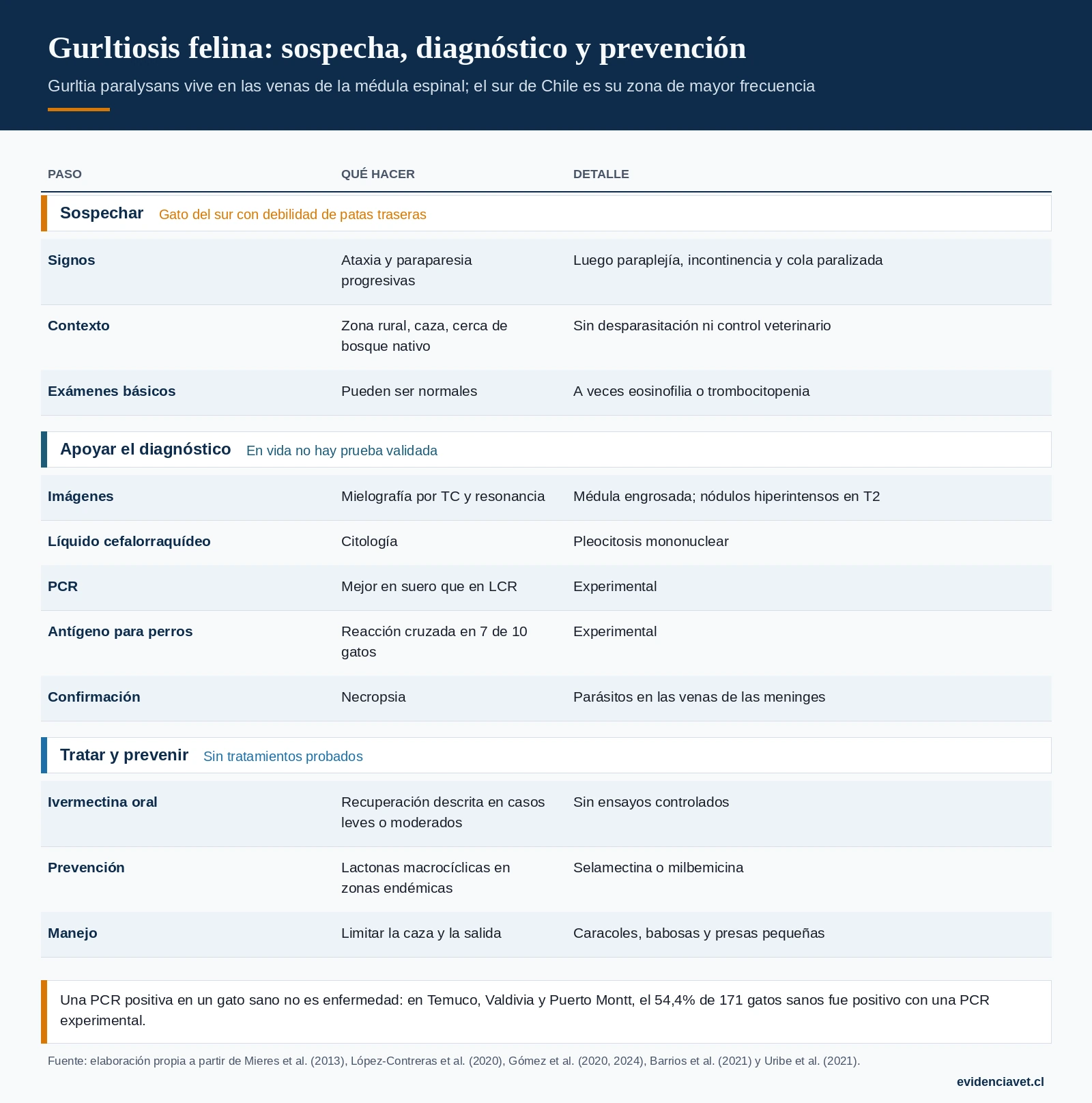Cuándo sospechar gurltiosis en un gato, qué pruebas sirven en vida y cómo prevenirla.