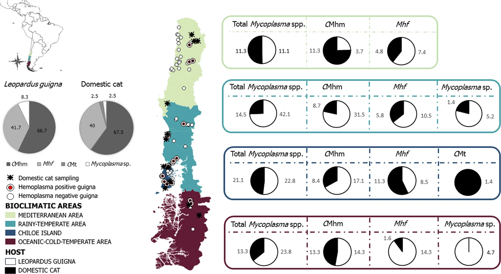 Sitios de muestreo y prevalencia de cada especie de hemoplasma en güiñas y gatos domésticos rurales de Chile, por zona bioclimática. Mhf: Mycoplasma haemofelis; CMhm: Candidatus M. haemominutum; CMt: Candidatus M. turicensis.