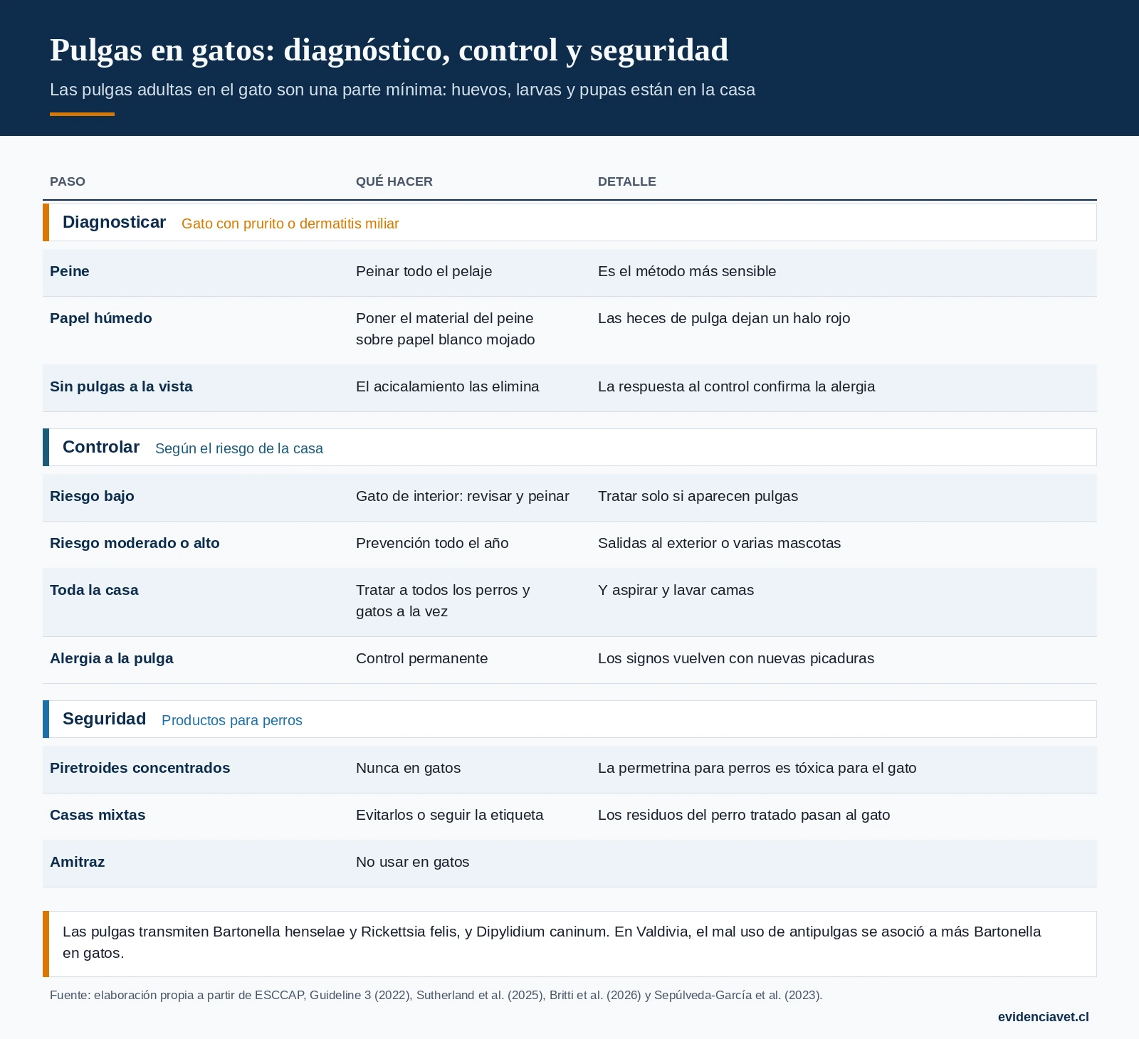 Diagnóstico de pulgas en el gato, plan de control según el riesgo y errores que hacen fallar el control.