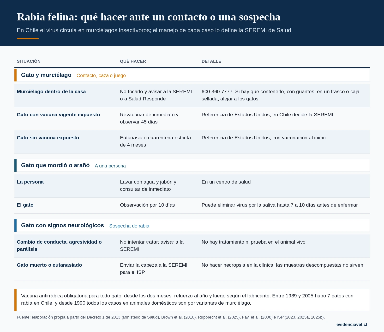 Qué hacer ante un gato que tuvo contacto con un murciélago, un gato que mordió o arañó a una persona y un gato con signos neurológicos compatibles con rabia en Chile.