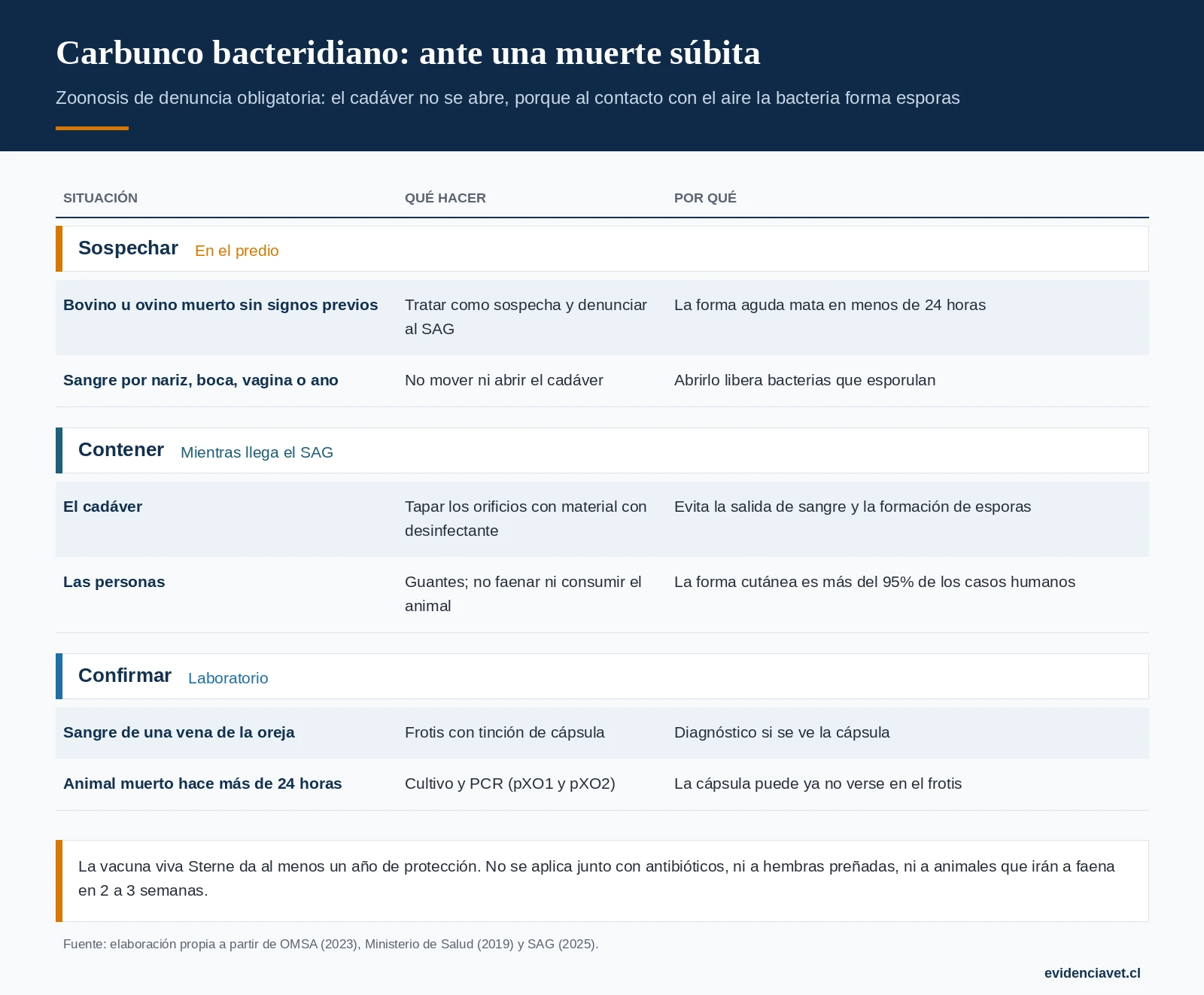 Qué hacer ante una muerte súbita con sospecha de carbunco: no abrir el cadáver, tomar la muestra correcta, denunciar y proteger a las personas.