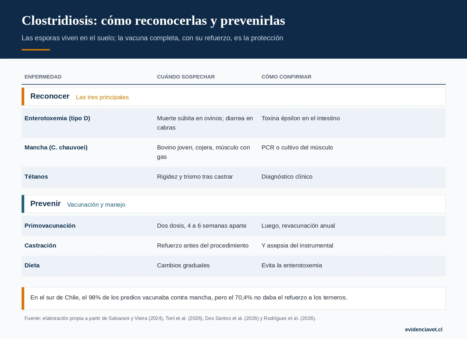 Cómo distinguir las tres clostridiosis principales y qué esquema de vacunación las previene.