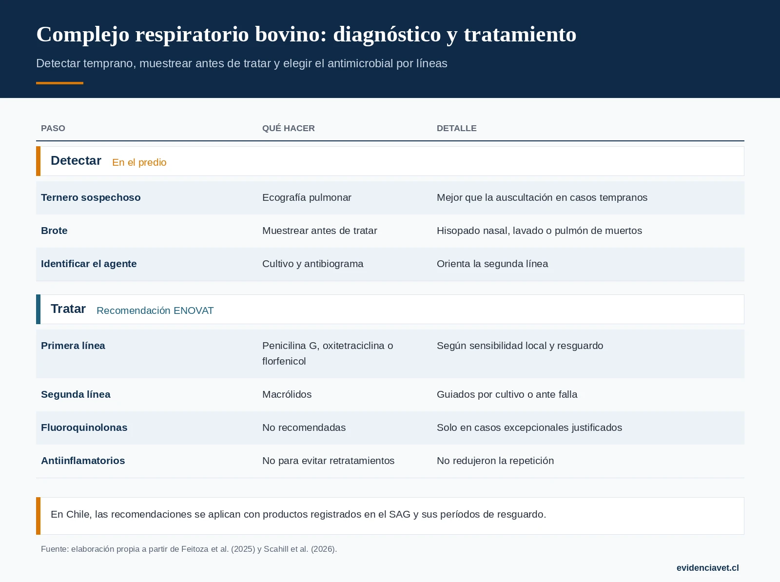 Cómo detectar y tratar el complejo respiratorio en terneros: puntaje clínico, ecografía pulmonar y elección del antimicrobial.
