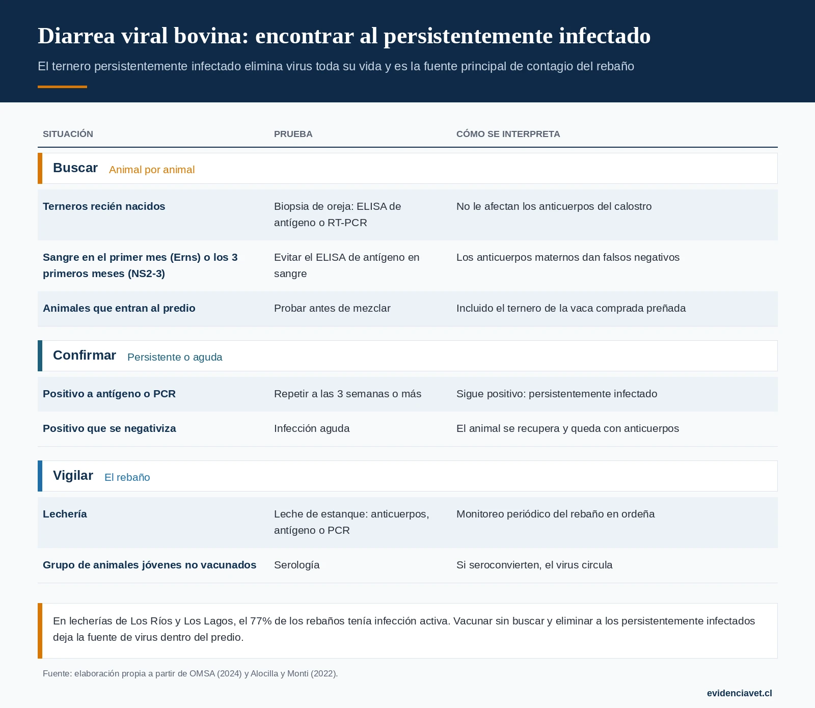 Cómo encontrar y eliminar a los animales persistentemente infectados: qué prueba usar según la edad y la muestra, y cómo se confirma.