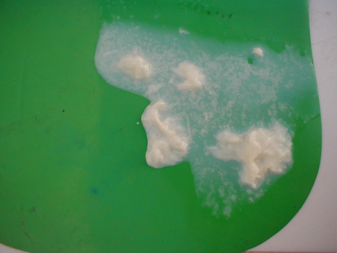 Grumos y copos en la leche de una vaca con mastitis clínica, vistos en el fondo oscuro del despunte.