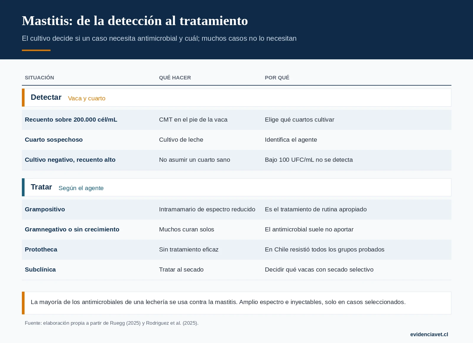 Cómo decidir ante una vaca con mastitis: qué mirar, cuándo cultivar y cuándo el antimicrobial no se justifica.