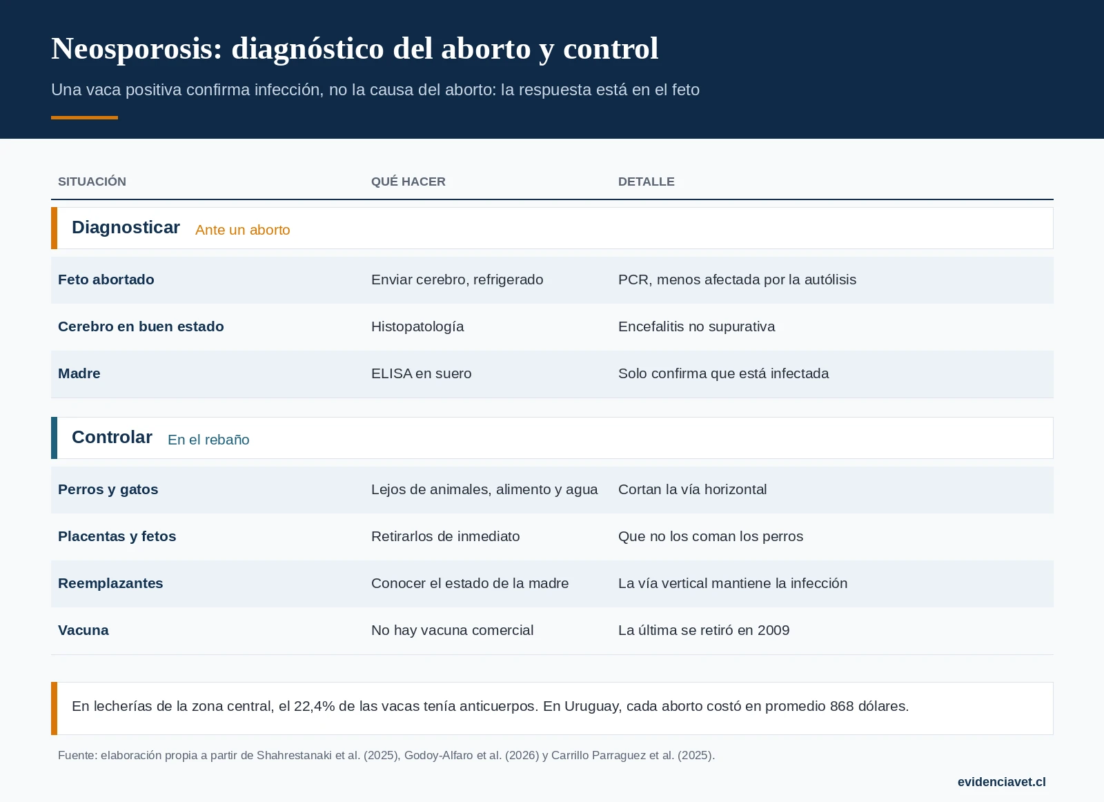 Cómo diagnosticar un aborto por Neospora y qué medidas reducen su transmisión en el rebaño.