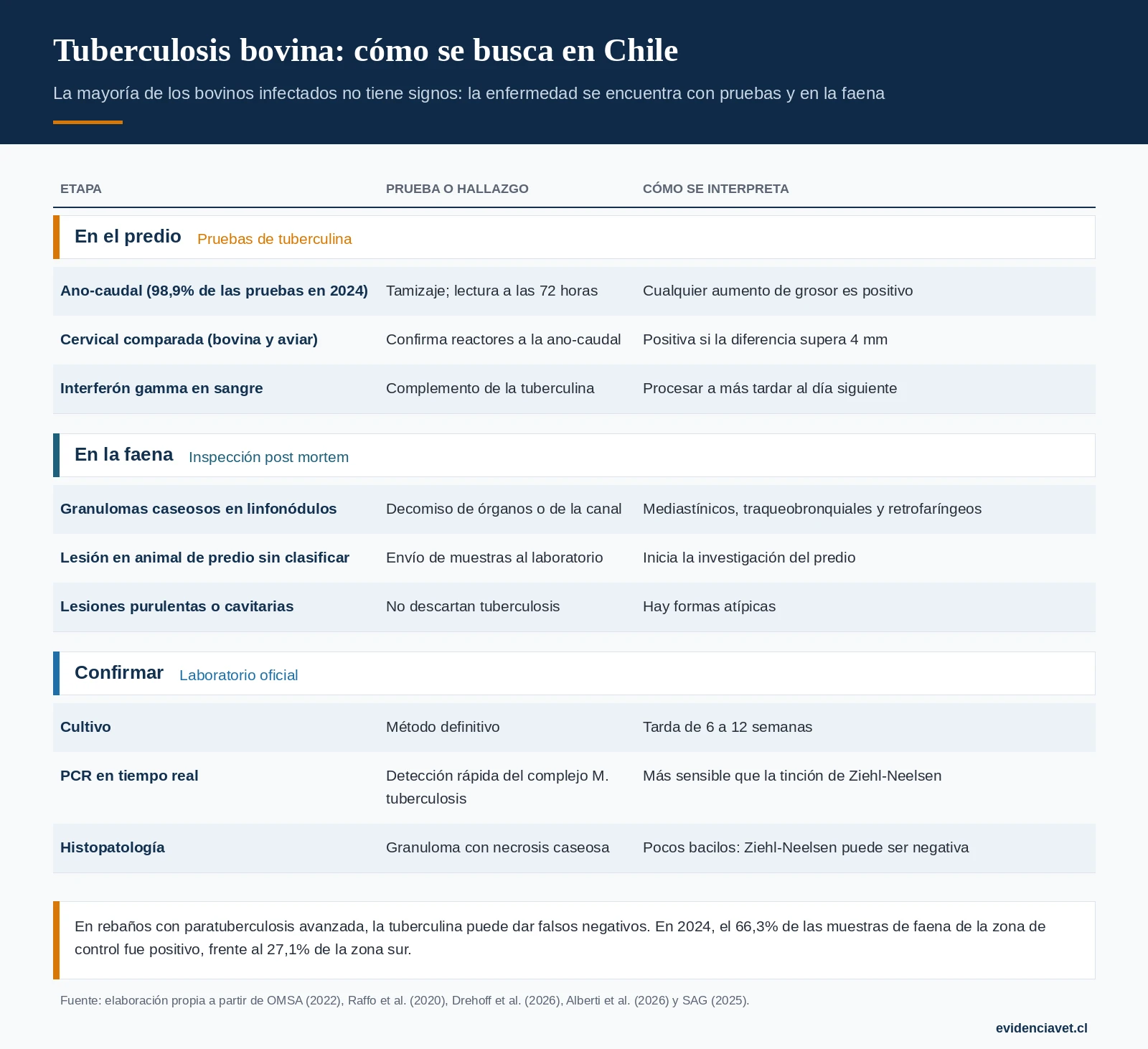 Cómo se busca la tuberculosis bovina en Chile: prueba de tuberculina en el predio, inspección en la planta faenadora y confirmación en el laboratorio.