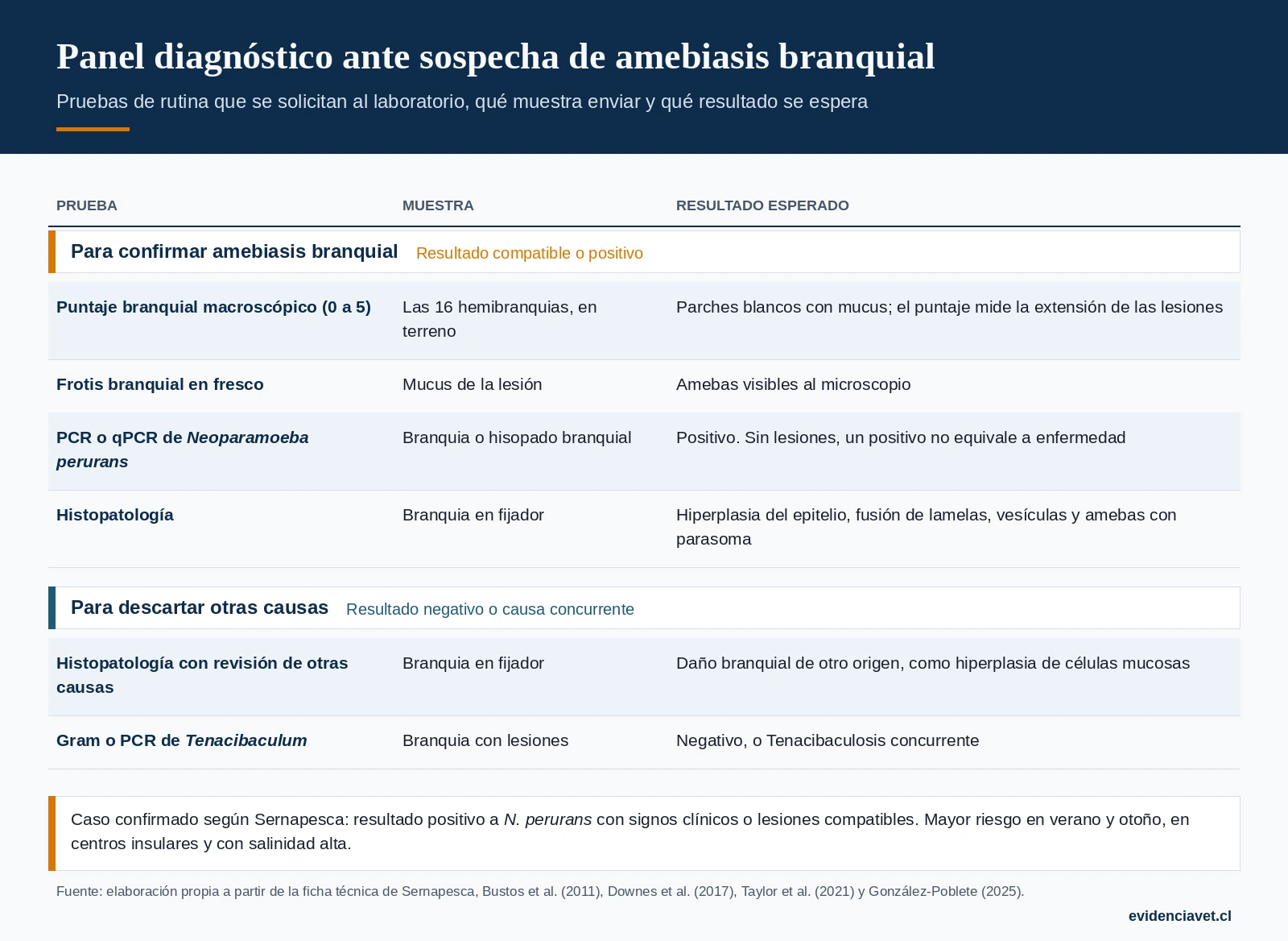 Pruebas ante sospecha de amebiasis branquial: qué muestra enviar al laboratorio y qué resultado apoya o descarta el diagnóstico.