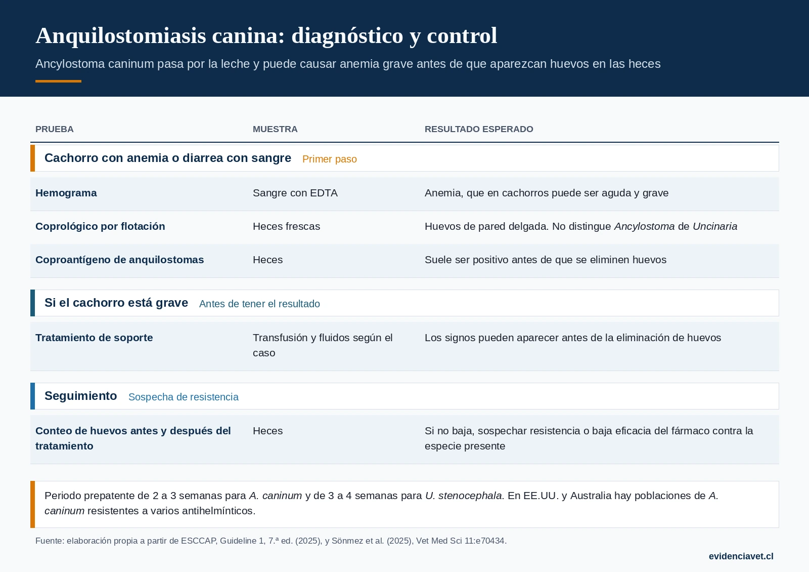 Pruebas ante sospecha de anquilostomiasis en cachorros, manejo del cachorro grave y control de la eficacia del tratamiento.