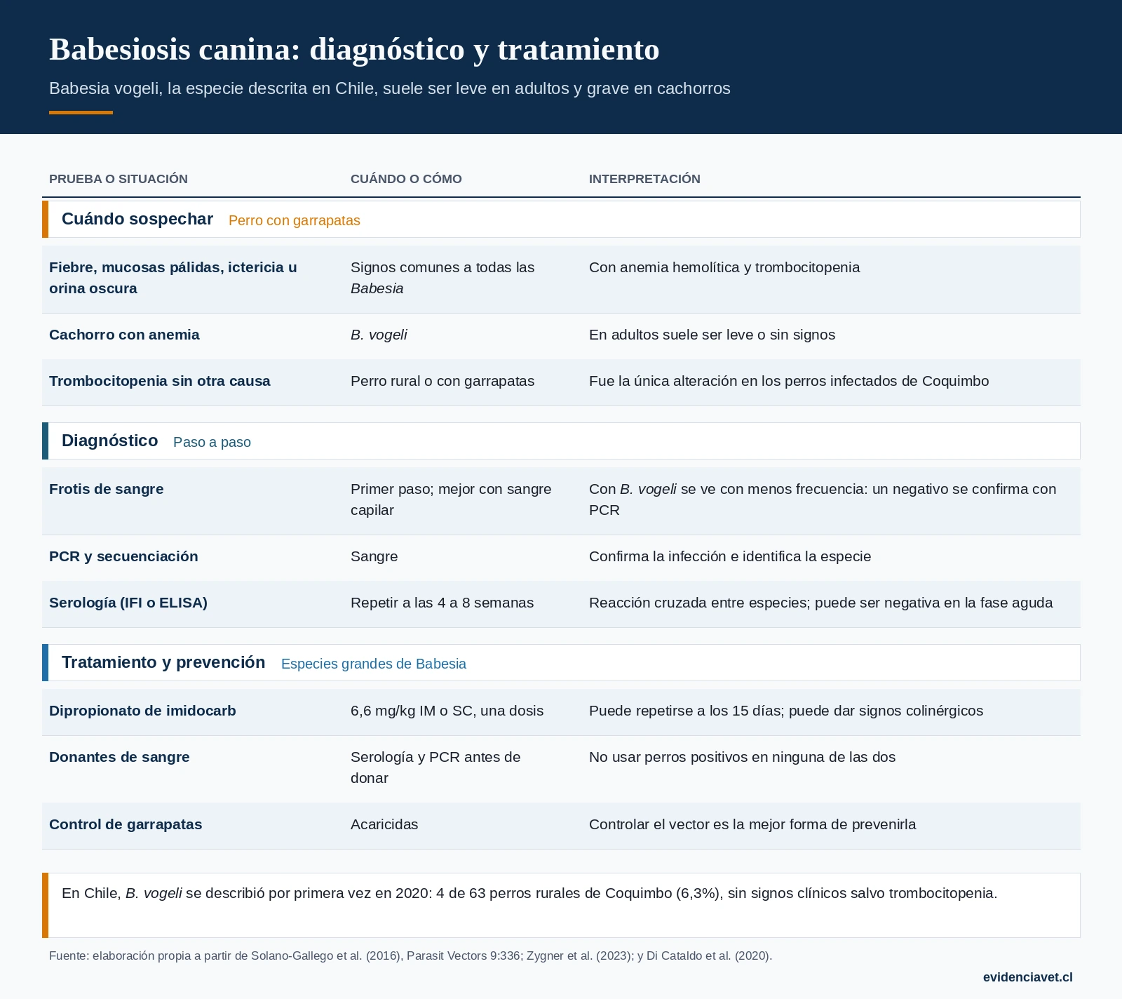 Cuándo sospechar babesiosis, cómo confirmarla paso a paso y cómo tratarla y prevenirla.