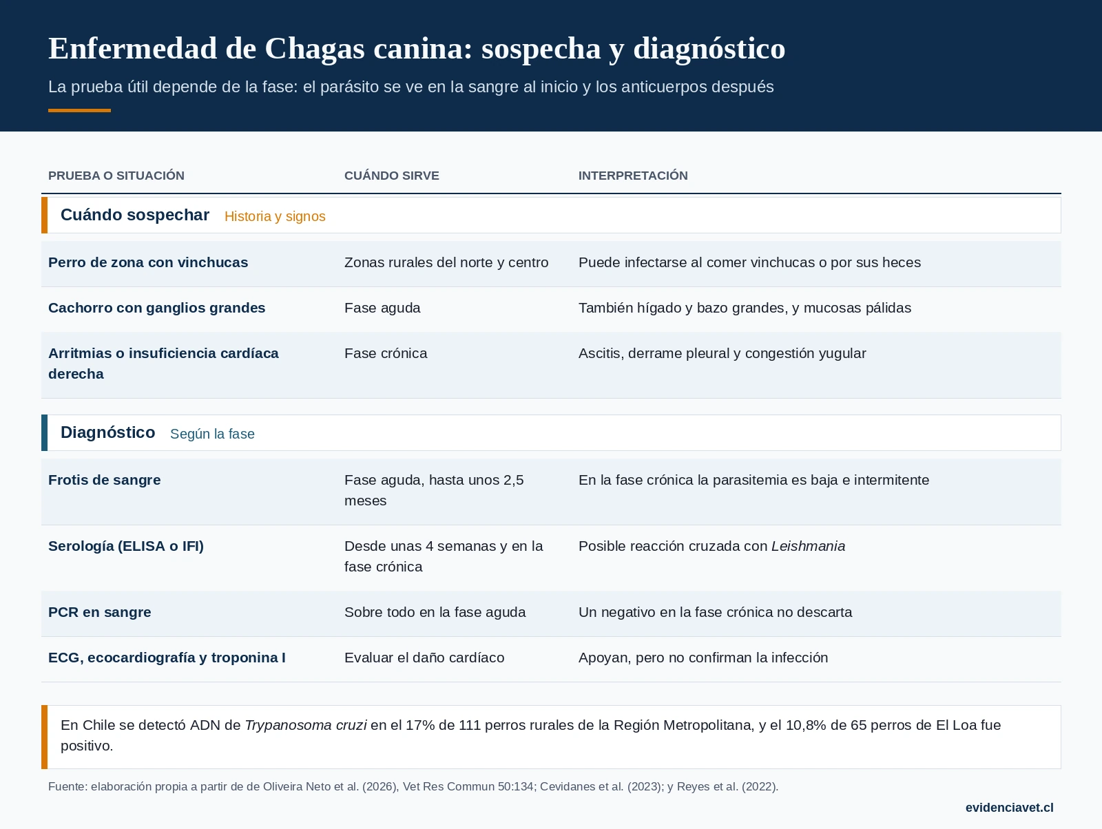 Cuándo sospechar Chagas en un perro y qué prueba usar según la fase de la infección.