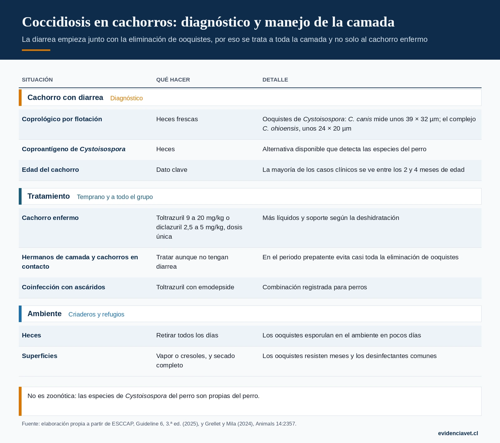 Diagnóstico, tratamiento de la camada y medidas en el ambiente ante coccidiosis en cachorros.