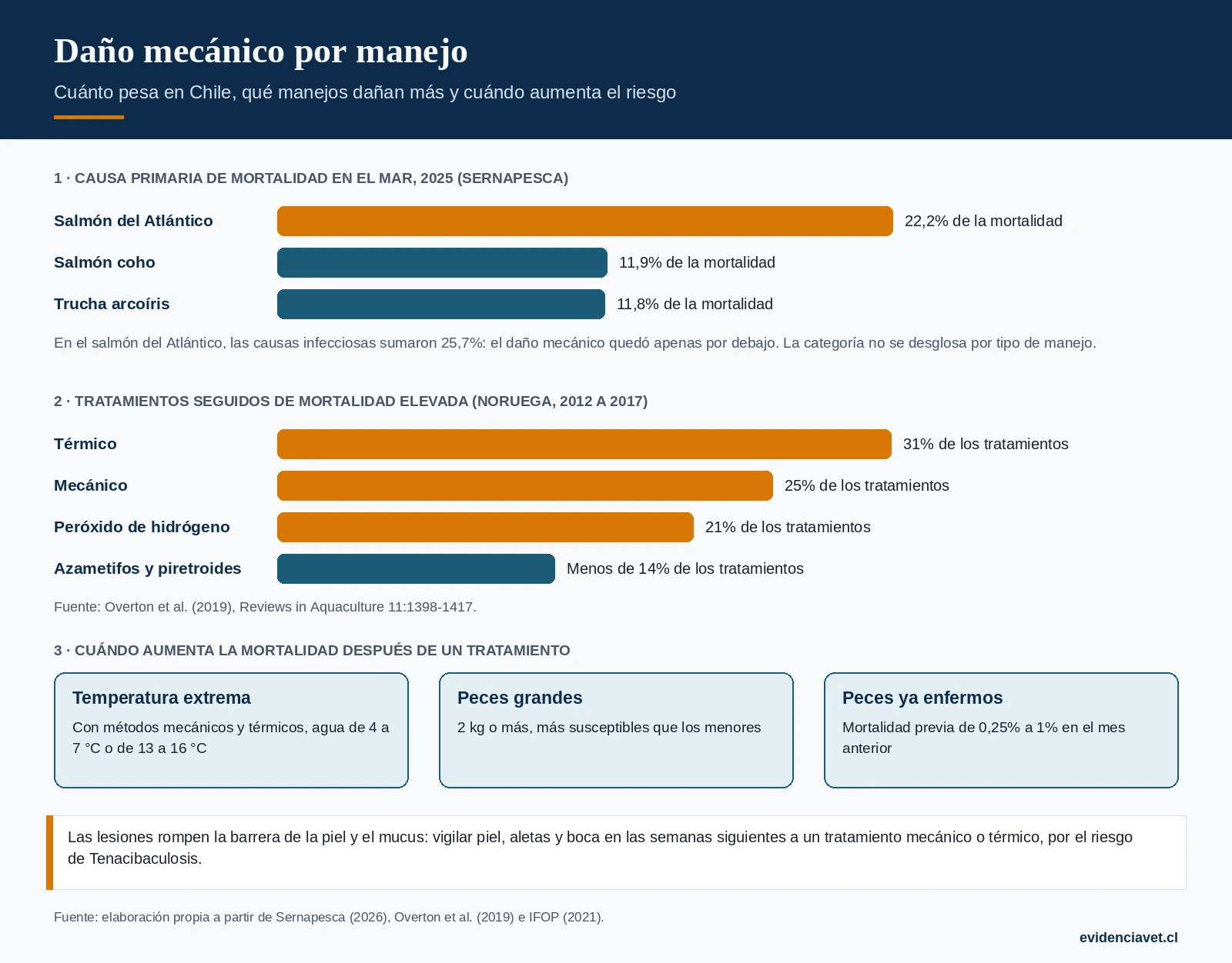 Daño mecánico por manejo: magnitud en Chile, manejos de mayor riesgo según la evidencia y condiciones que aumentan la mortalidad después de un tratamiento.