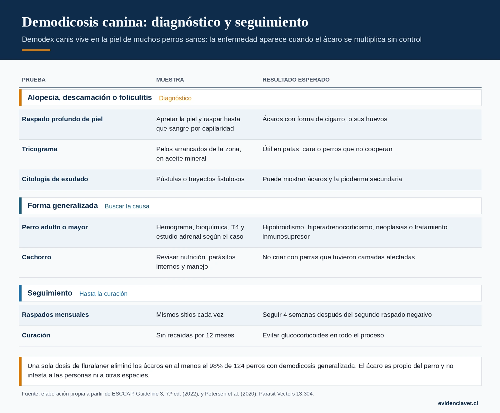 Cómo tomar las muestras para diagnosticar demodicosis, qué buscar en la forma generalizada y cuándo considerar curado al perro.