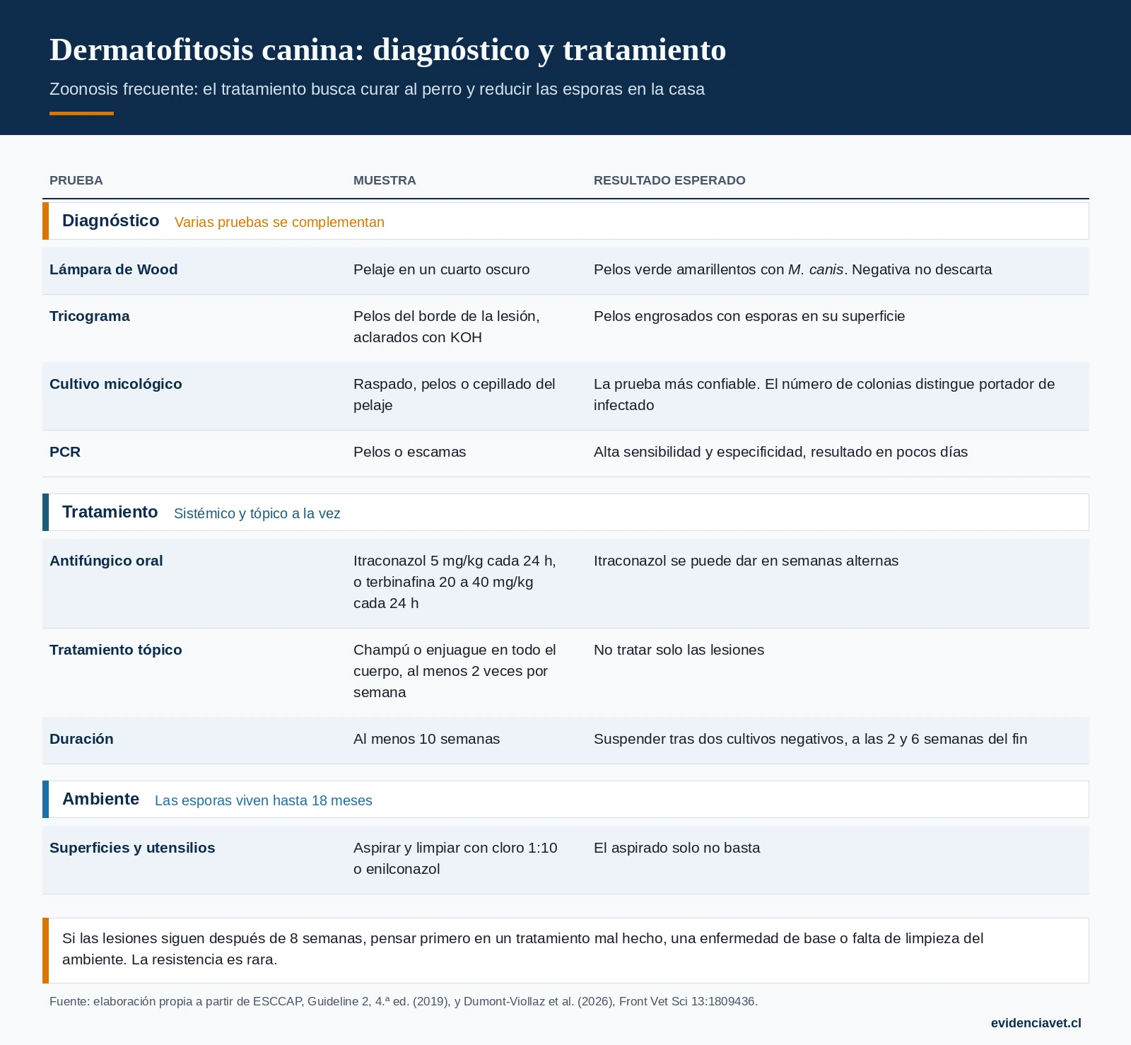 Pruebas para diagnosticar dermatofitosis, esquema de tratamiento sistémico y tópico, y limpieza del ambiente.