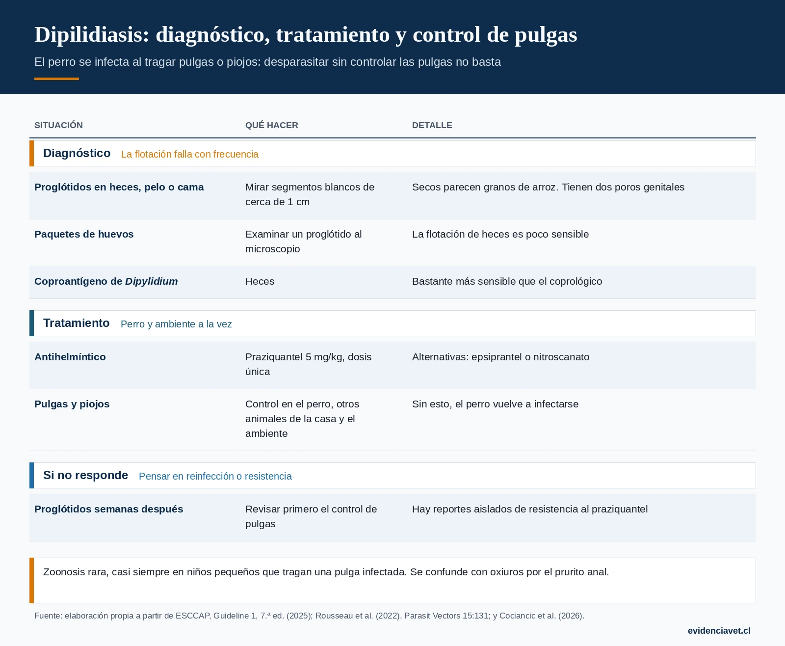 Diagnóstico, tratamiento y control de pulgas en la dipilidiasis, y qué revisar si el perro sigue eliminando proglótidos.