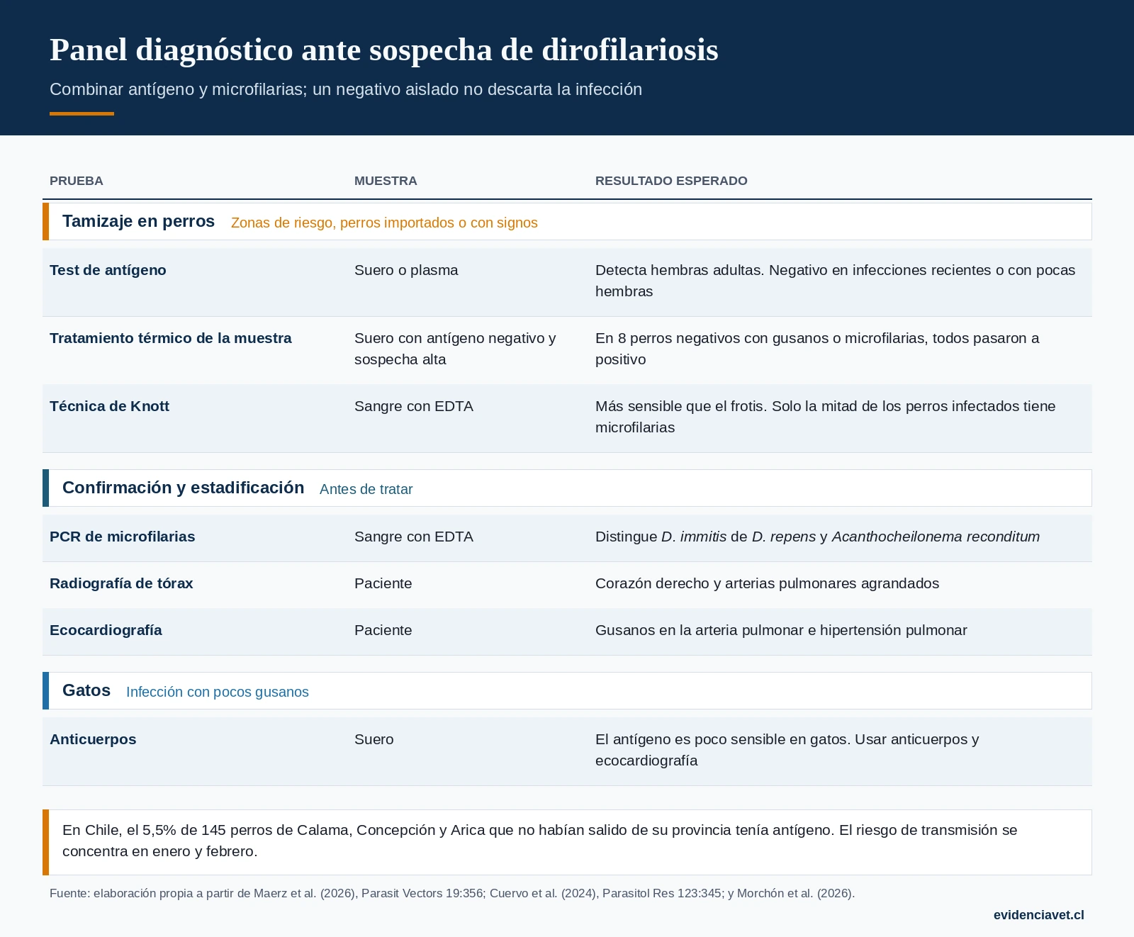 Pruebas ante sospecha de dirofilariosis: antígeno, microfilarias e imágenes, y cómo interpretar un resultado negativo.