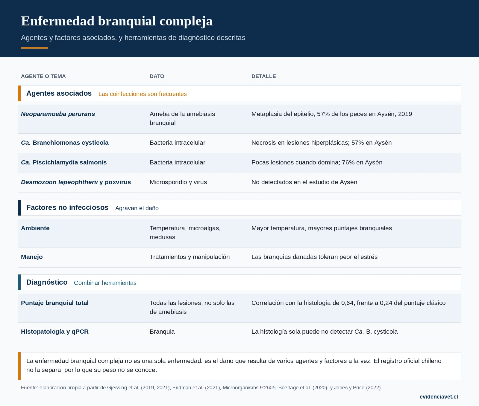 Enfermedad branquial compleja: agentes y factores involucrados, y herramientas de diagnóstico y manejo descritas.
