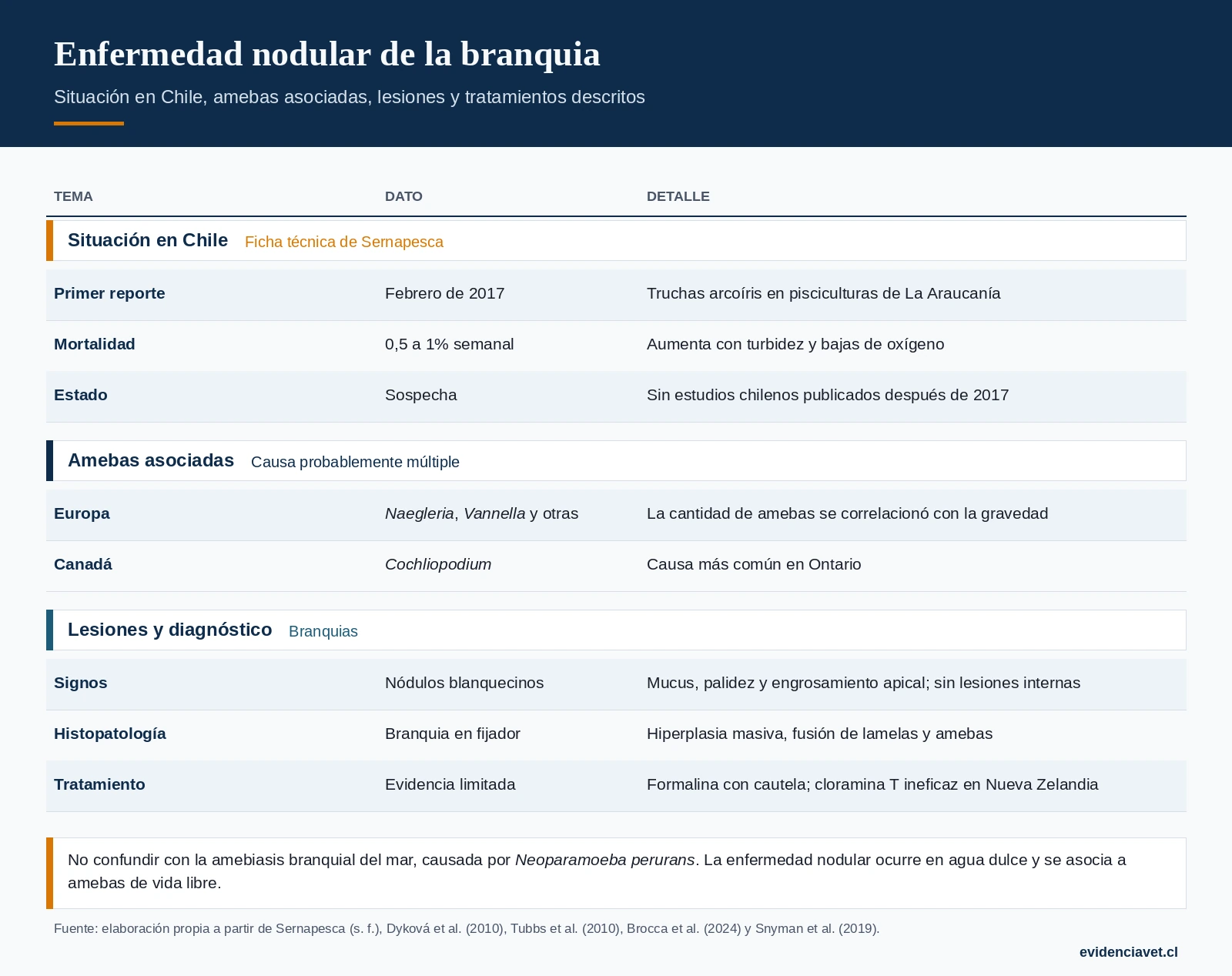 Enfermedad nodular de la branquia: situación en Chile, amebas asociadas, lesiones, diagnóstico y tratamientos descritos.