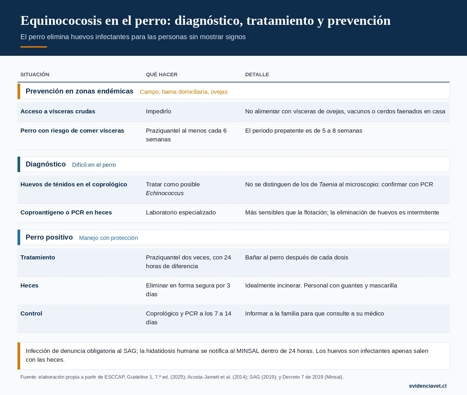 Prevención en zonas endémicas, diagnóstico en el perro y manejo de un perro positivo para Echinococcus granulosus.