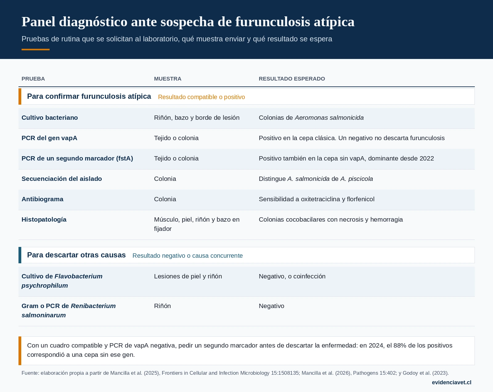 Pruebas ante sospecha de furunculosis atípica: qué muestra enviar al laboratorio y qué resultado apoya o descarta el diagnóstico.