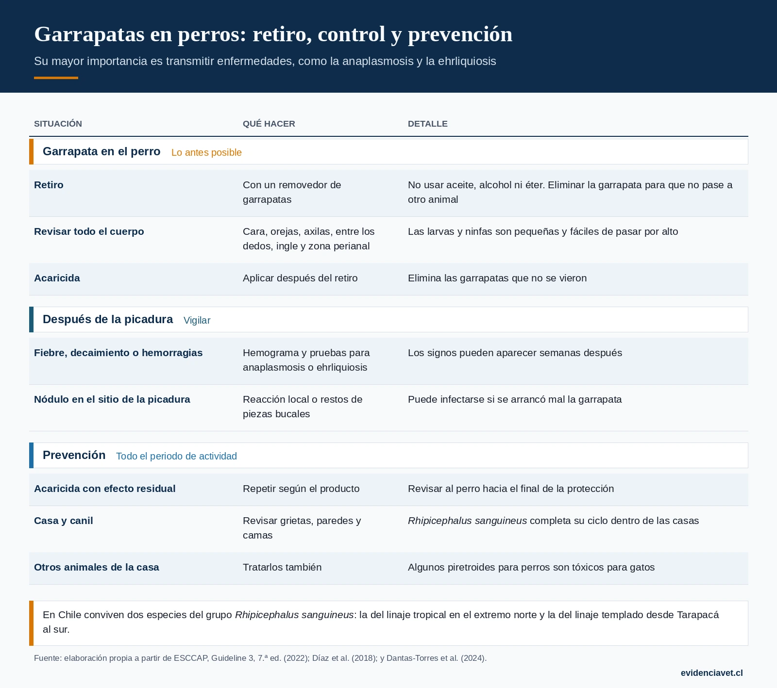 Qué hacer al encontrar una garrapata, qué vigilar después de la picadura y cómo prevenir nuevas infestaciones.